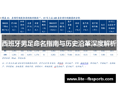 西班牙男足命名指南与历史沿革深度解析